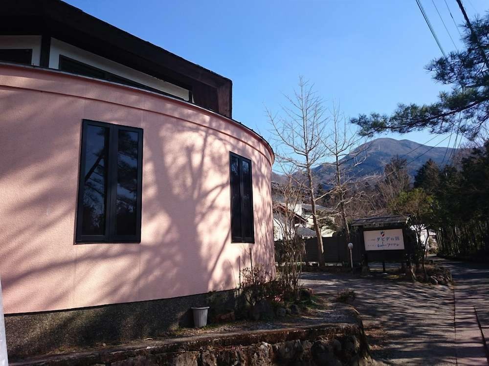 La Maison De David