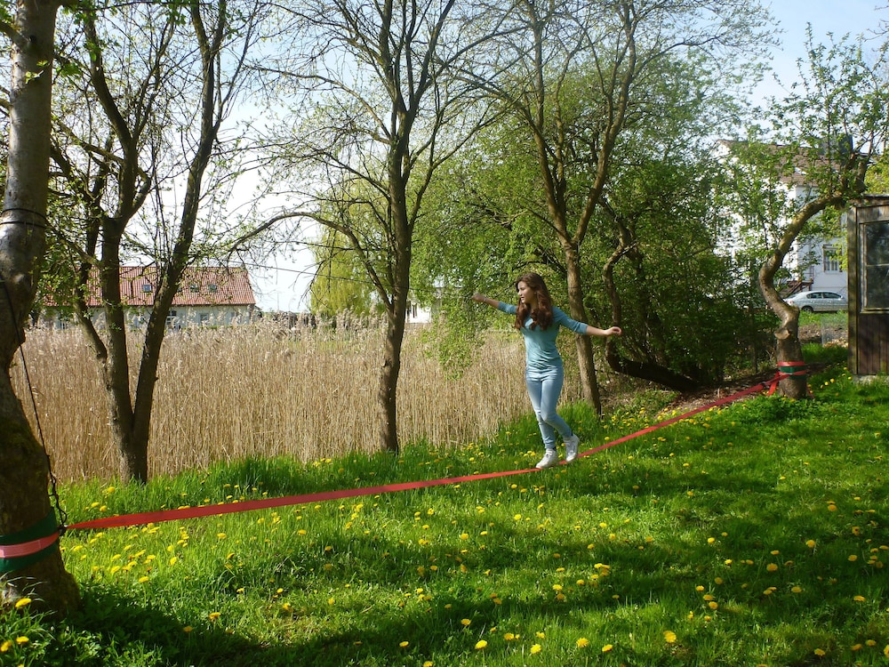 Das Haus am Teich