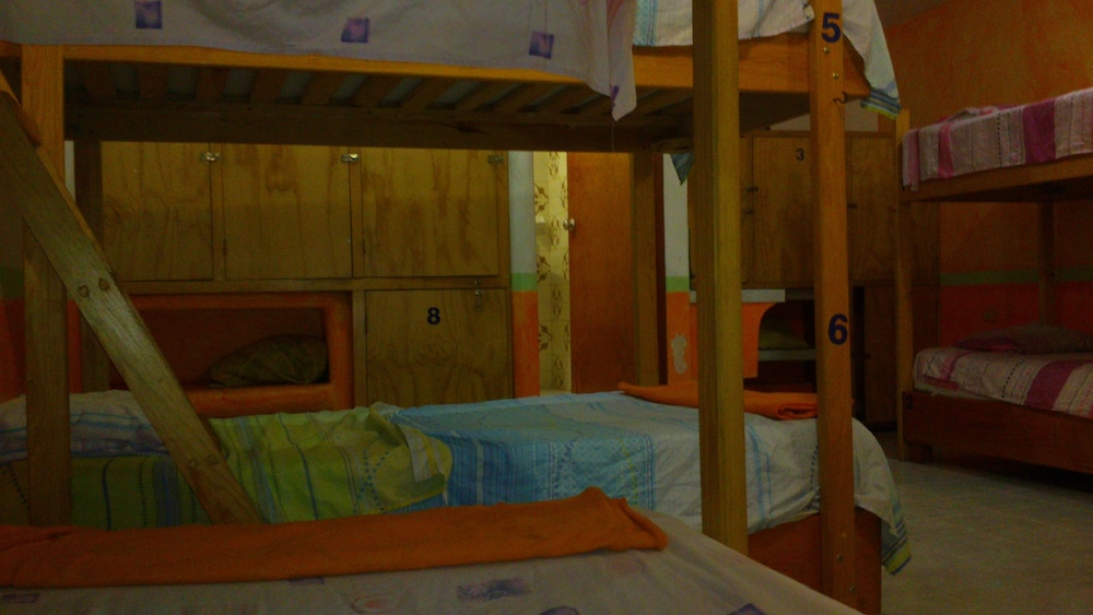 Auberge de jeunesse Friends Hostel Cozumel — photo 2