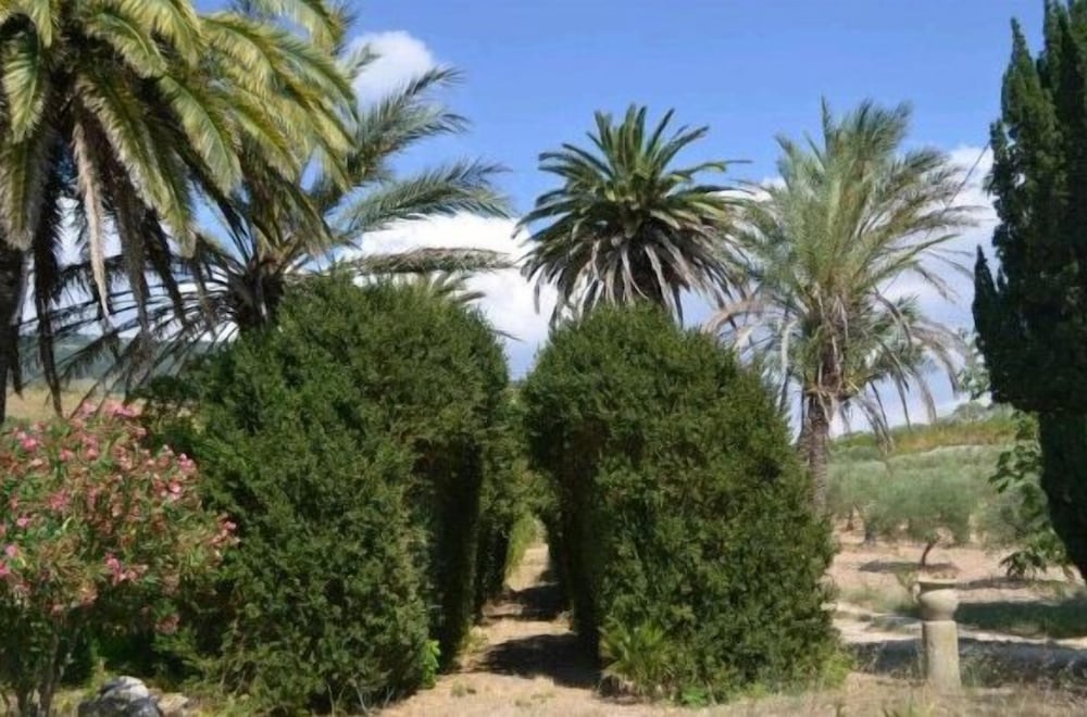 Photo 44