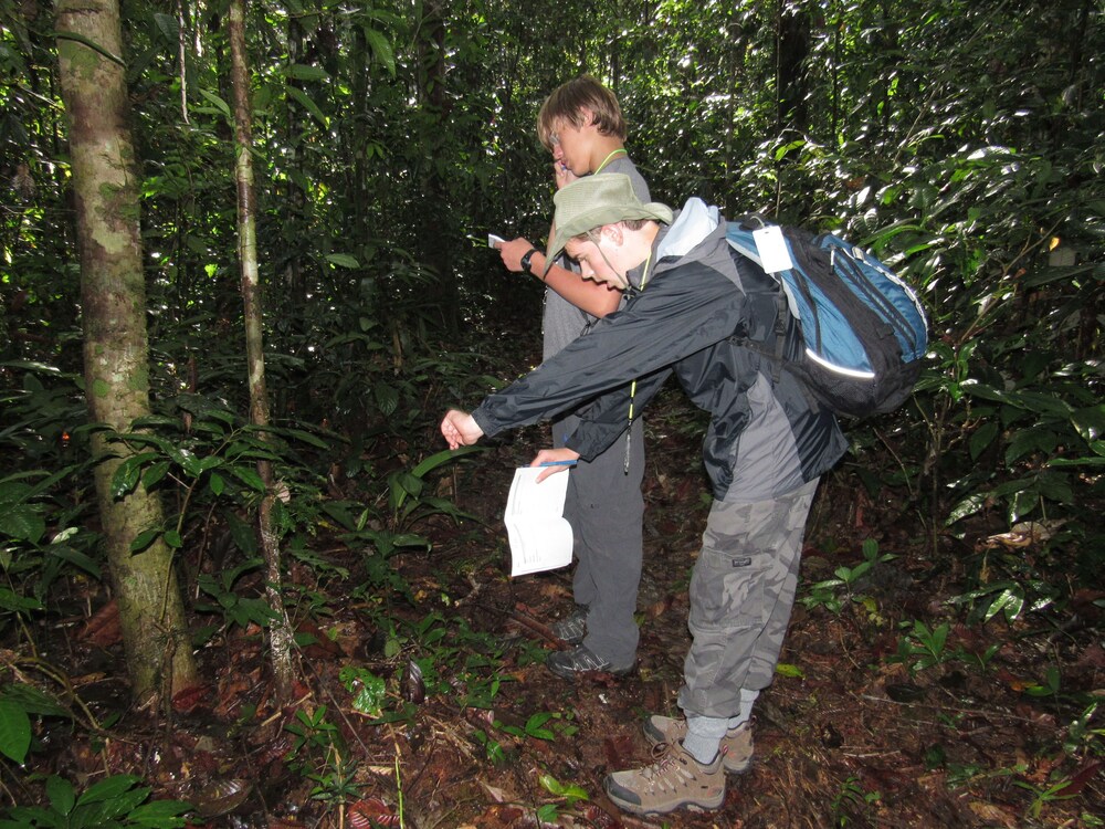 Ceiba Tops Lodge