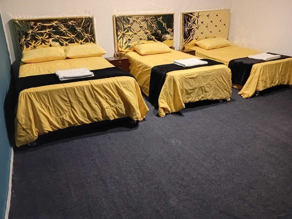 Las concubinas del inca
