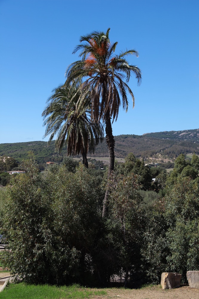 TAIGA Tarifa Valdevaqueros