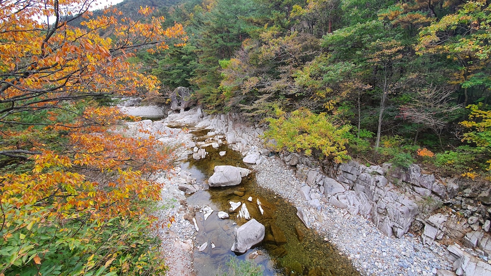 other