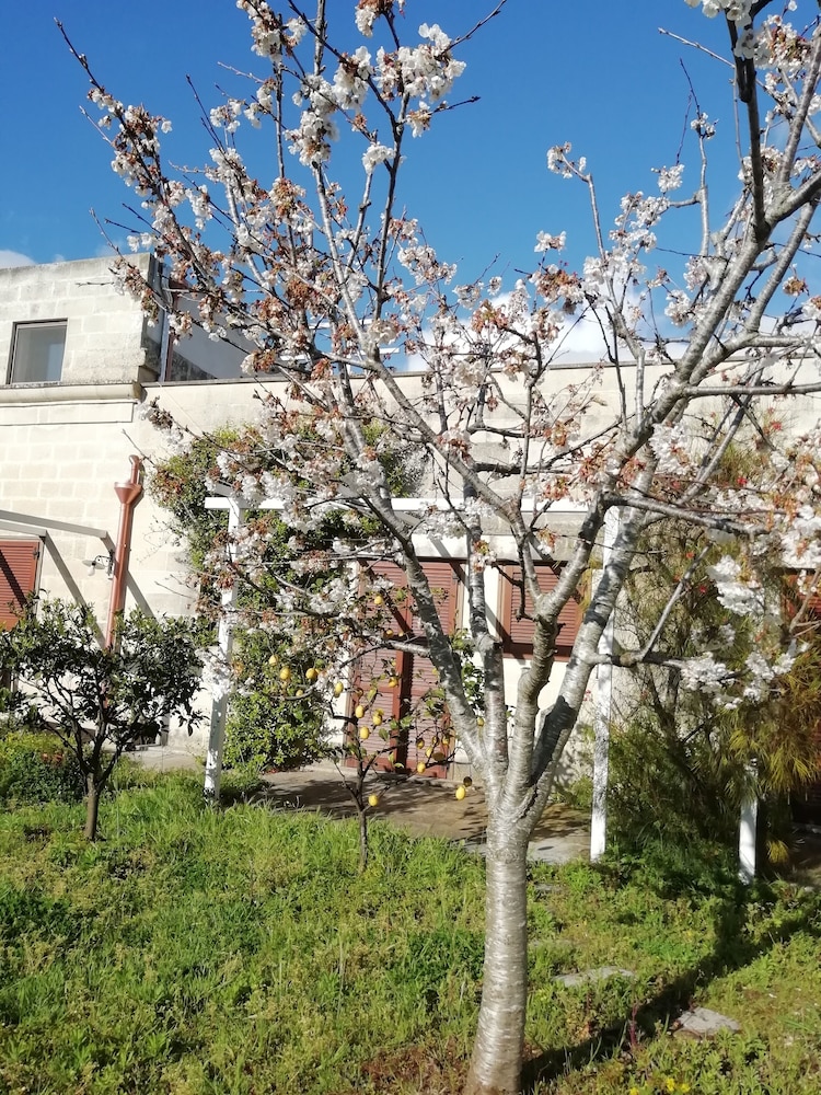 B&B Masseria 12 Granai