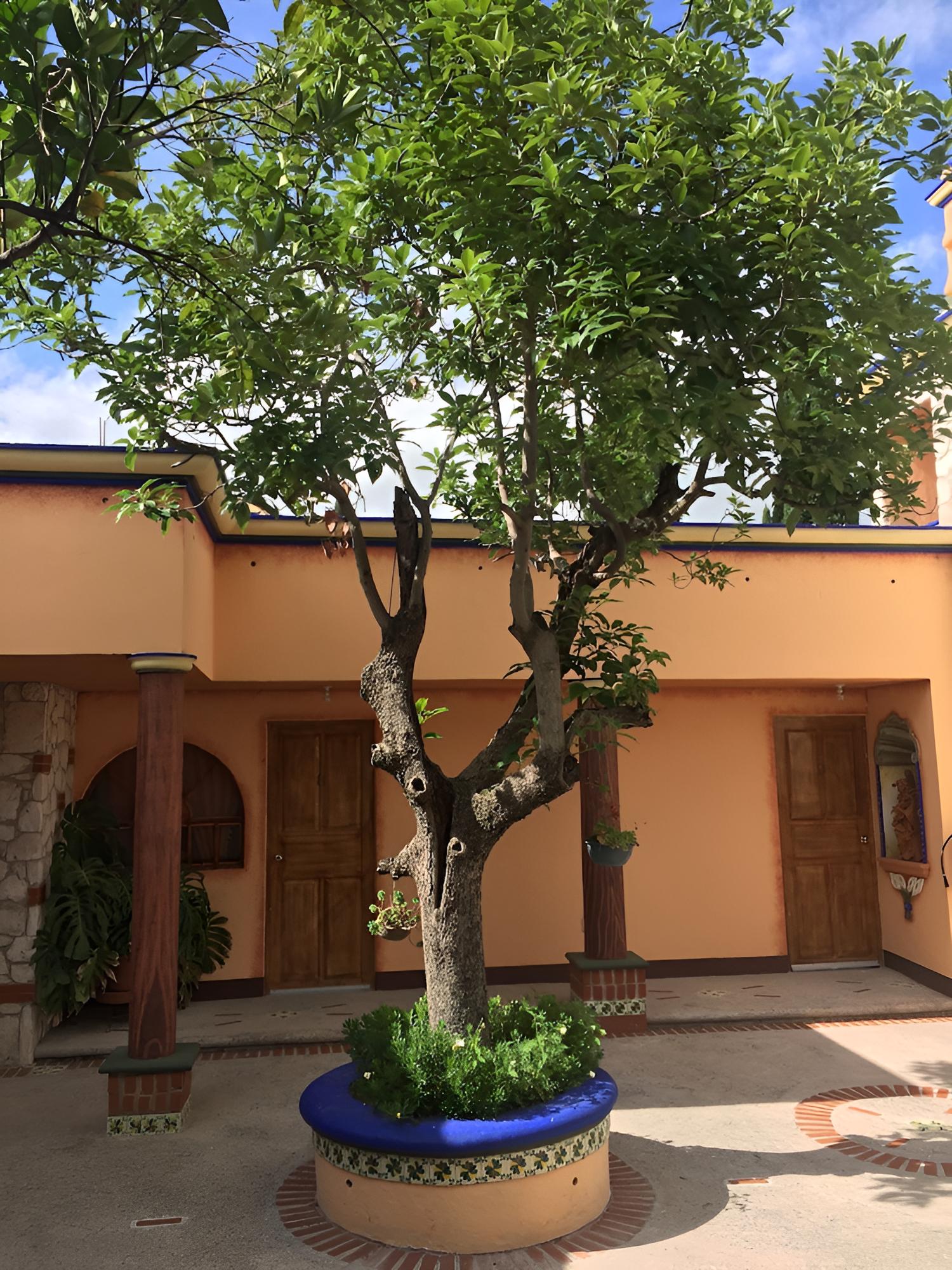 Hotel Feregrino