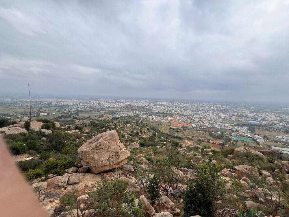 Photo 41
