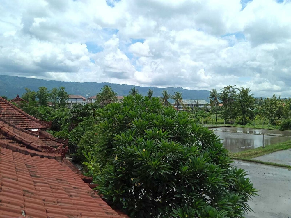 Rumi Bumi Lovina