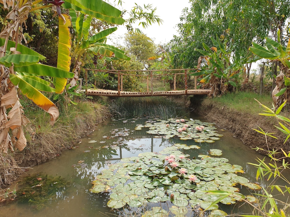 Mint Bodhivann Jungle Retreat view 2