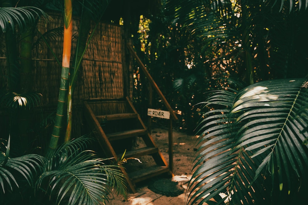 Kactus Your Island Sanctuary In Cambodia