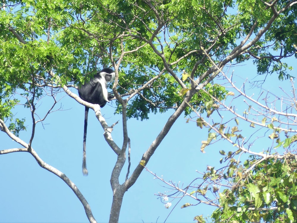 Wami River Bush Retreat - Kisampa