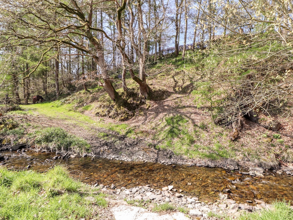 Nant Y Celyn