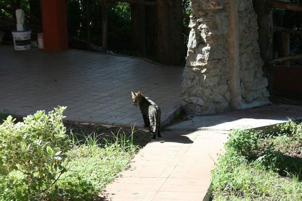 Agriturismo Ruralia