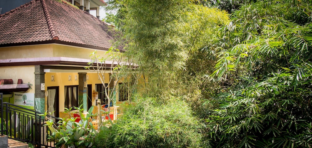 Green View Widia