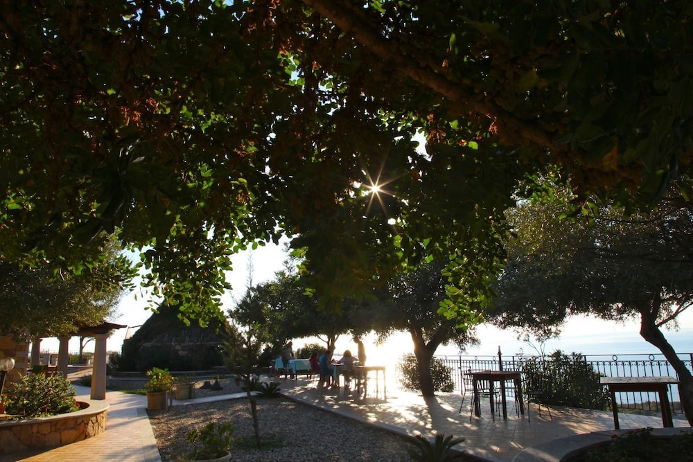 Photo 49