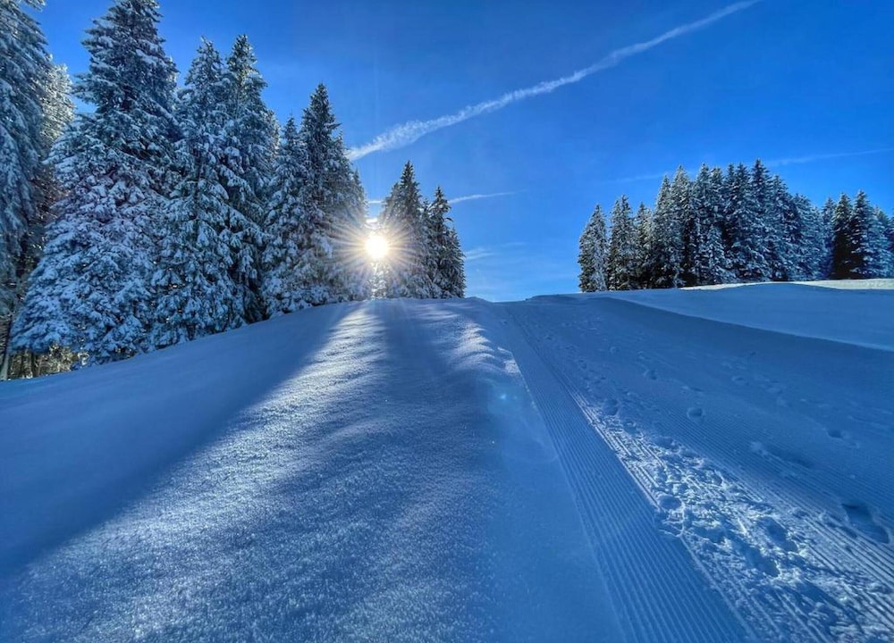 Contemporary Swiss Escape