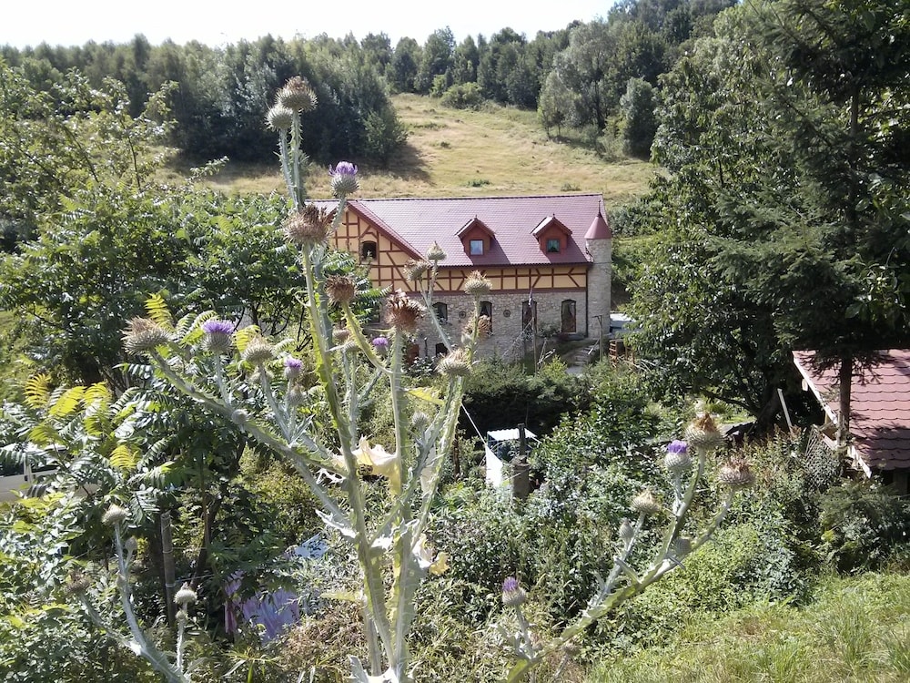 Zbójna Debra