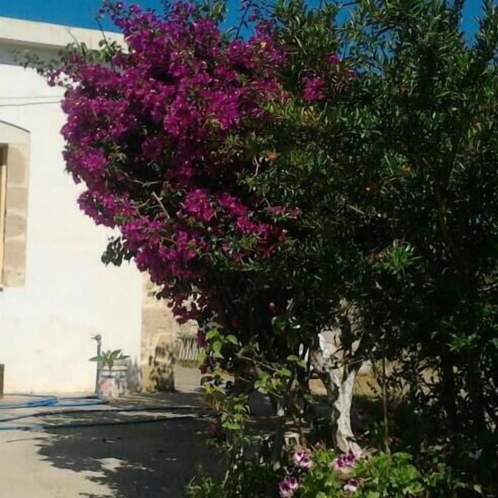 Falasarna Lardas House