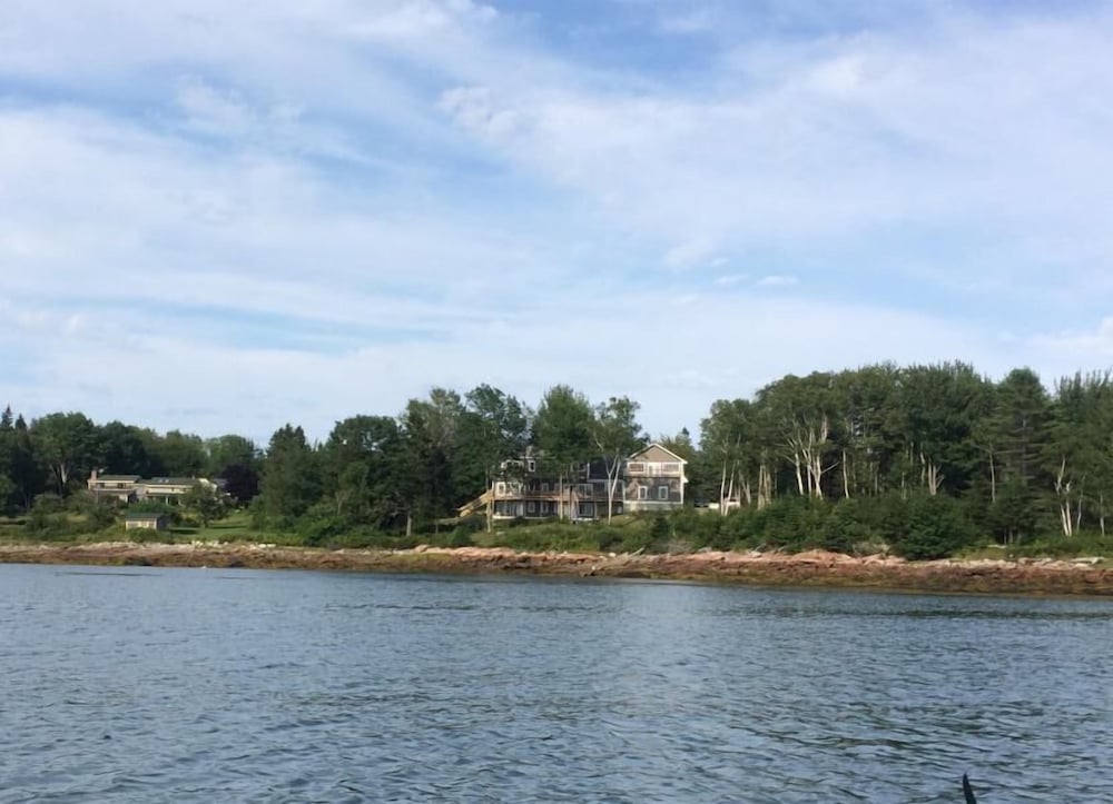 Clamshell By The Sea