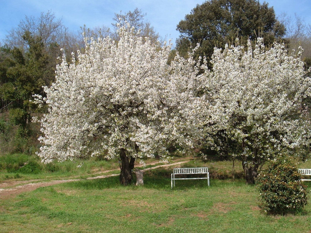 Borgognano Farm House