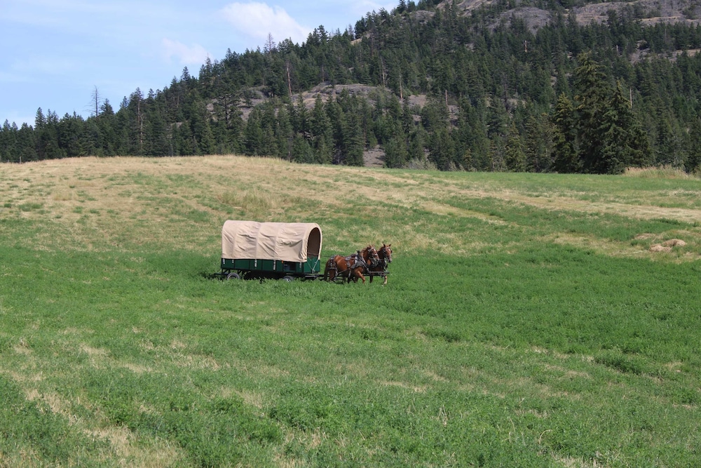 YD Guest Ranch