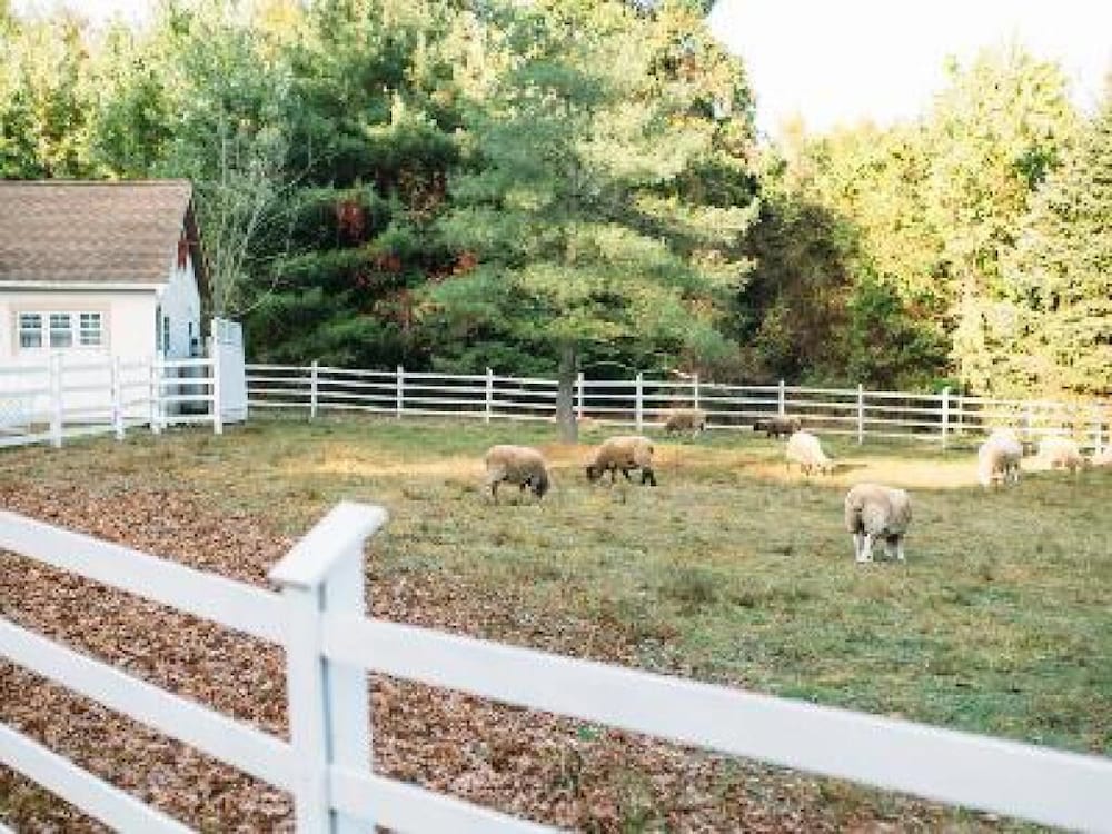 Ash Mill Farm Bed & Breakfast