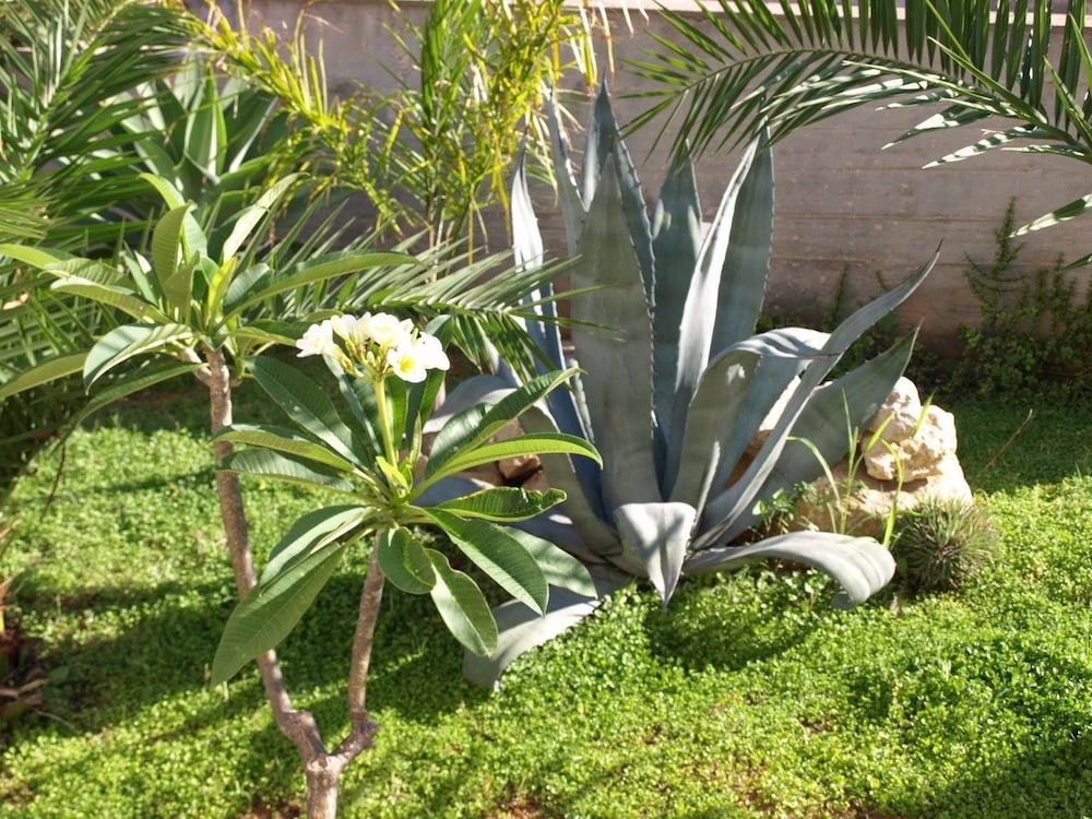 Guesthouse Anchise 38
