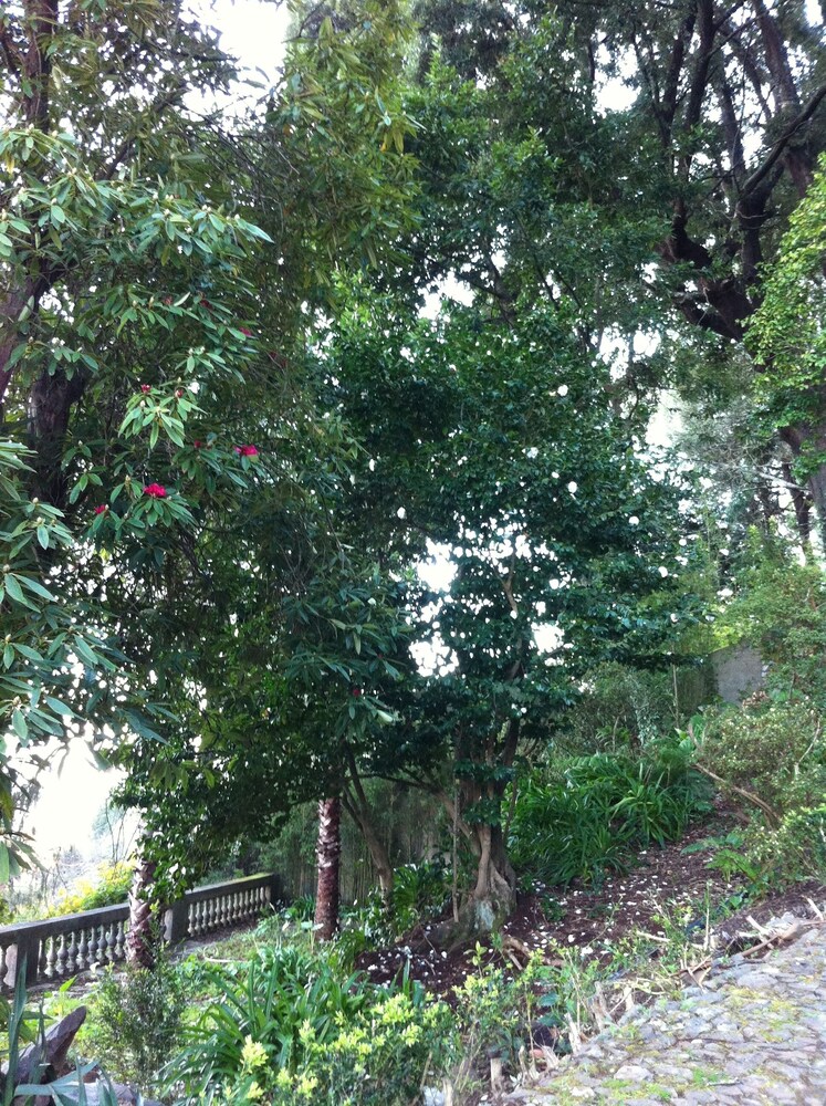 Photo 33