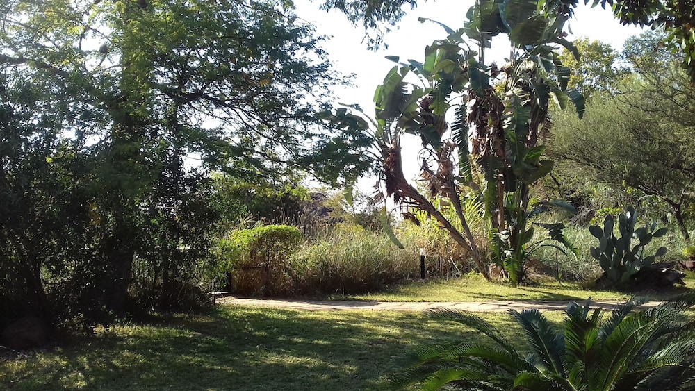 Photo 29