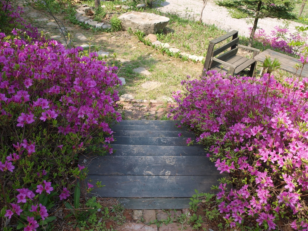 Geum Dang Lodge