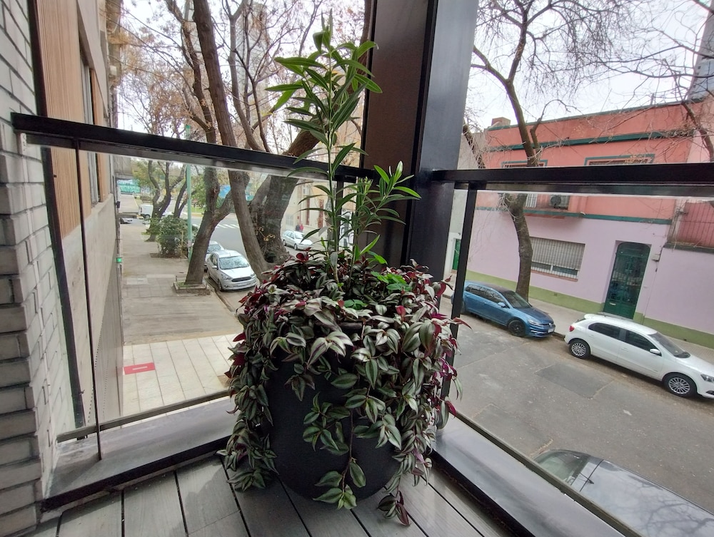 Estudio en Palermo 4