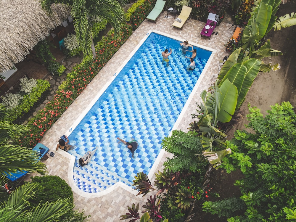 Prima Luna Palomino - Property Image 19