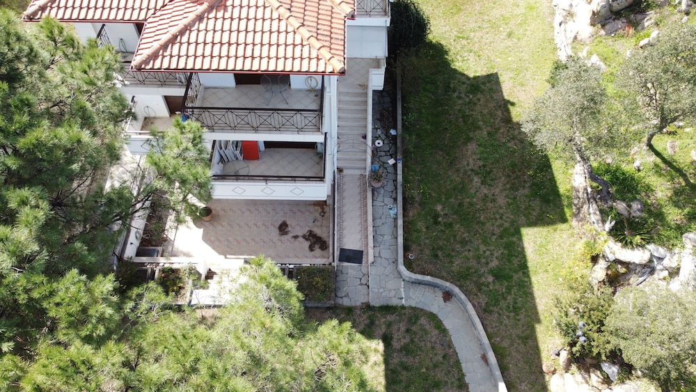 Photo 17