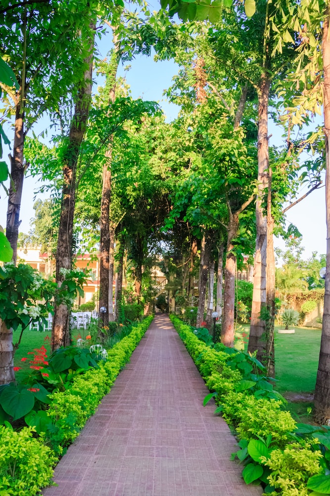 Hotel Rainforest
