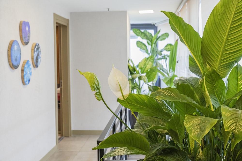 Ayramin Deluxe Hotel - Image 123