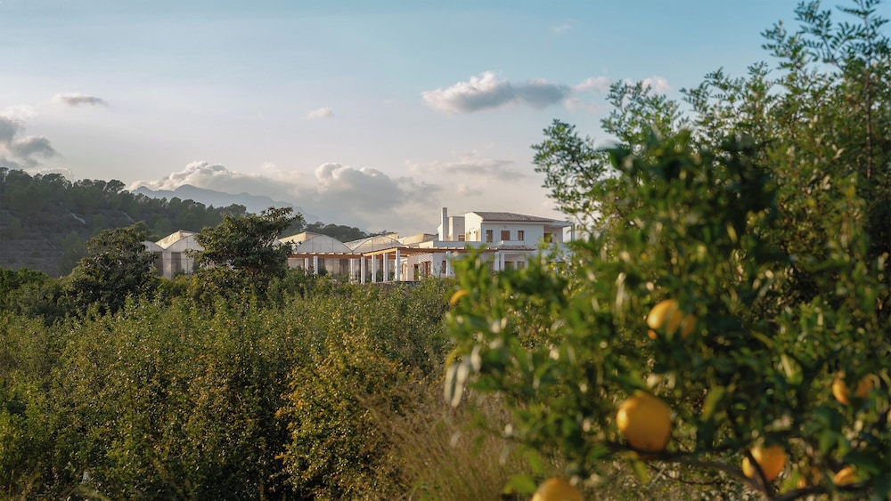 ZEM Wellness Clinic Altea - 5 Stars Grand Luxury