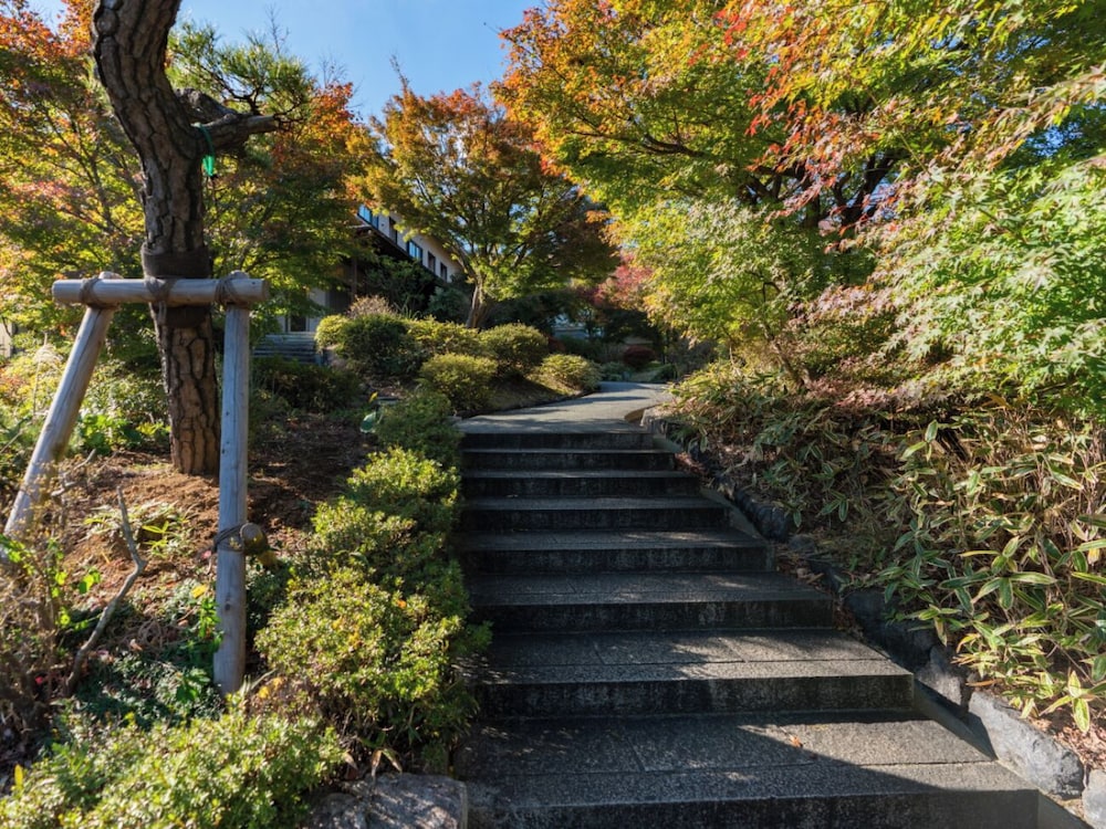 Narashino no sato Gyokusui -6 years or older-