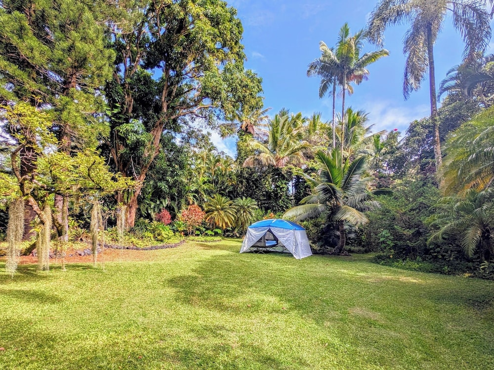 Kehena Mauka Nui LGBTQ Clothing Optional
