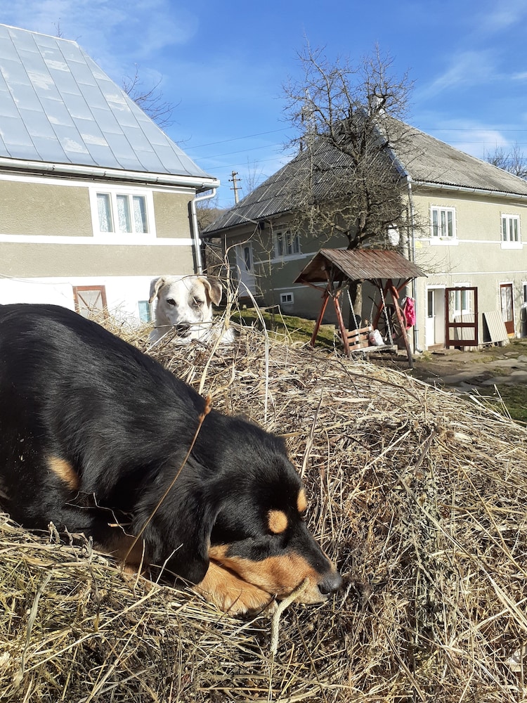 Photo 26