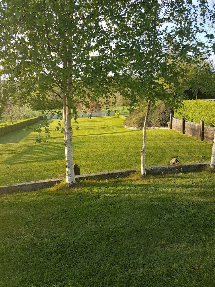 Kilcatten Lodge BB - Property Image 10