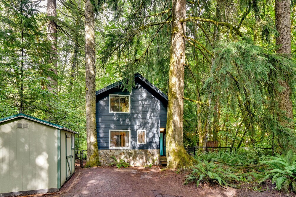 Rhododendron Creekside Cabin w/ Hot Tub & Fire Pit view 4