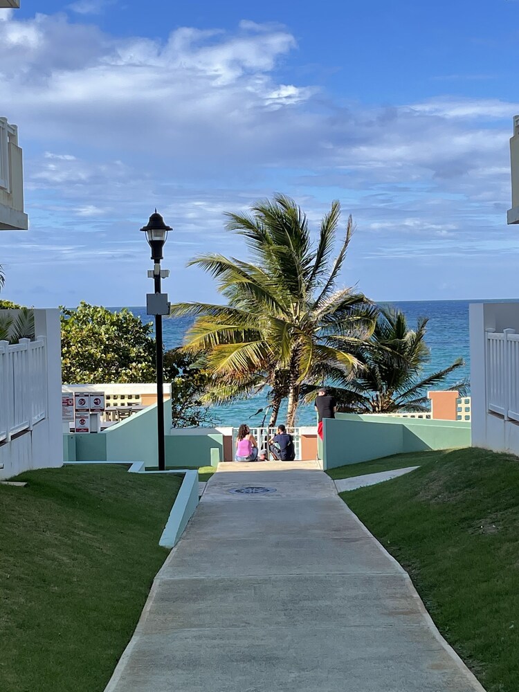 Photo 44