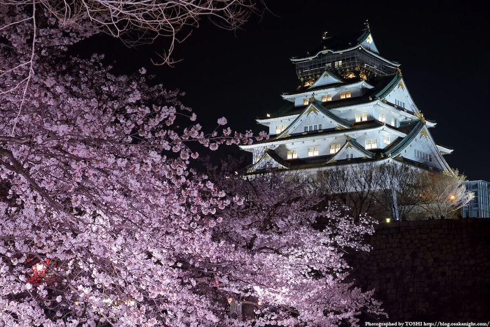 AkiraHome Tsutenkaku