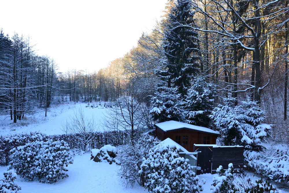 Ferienhaus Oppach view 4