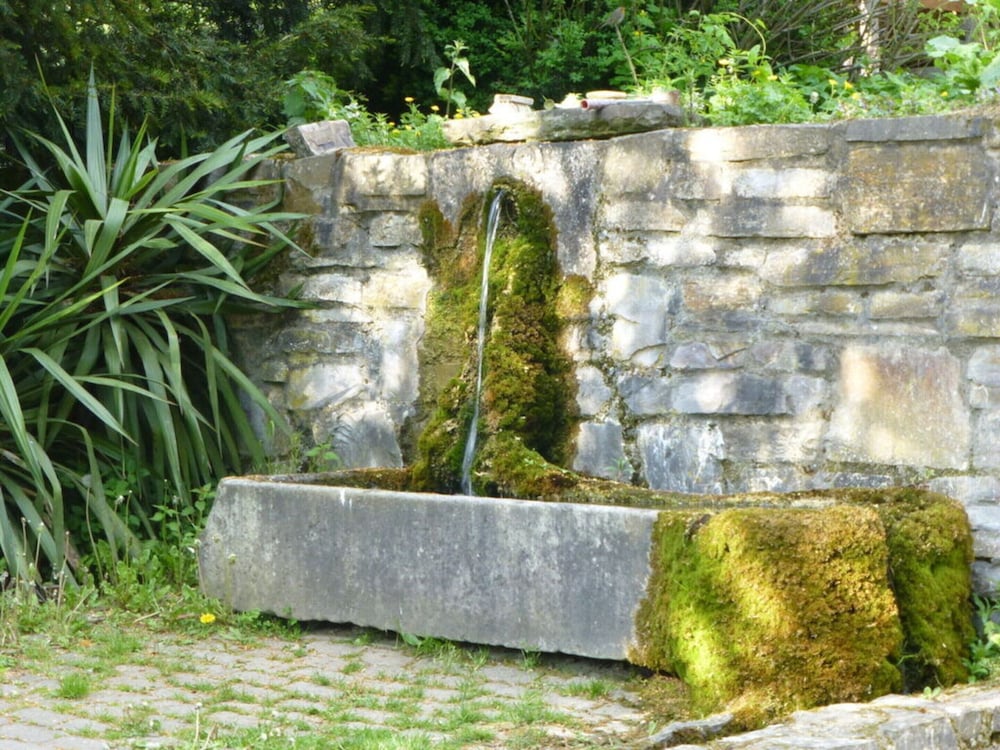 Holiday Apartment Garden Paradise
