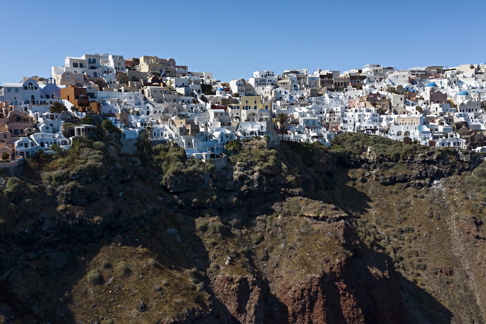 Helianthus Suites
