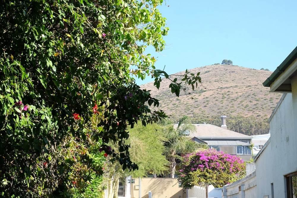 Jambo Guest House view 2