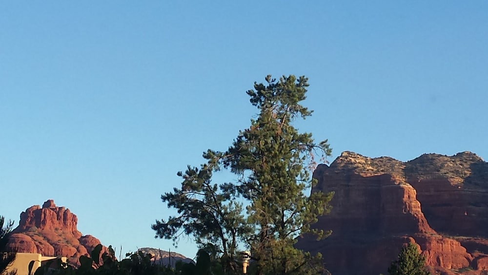 Sedona Vacations - The Sedona Dream Maker - Property Image 25