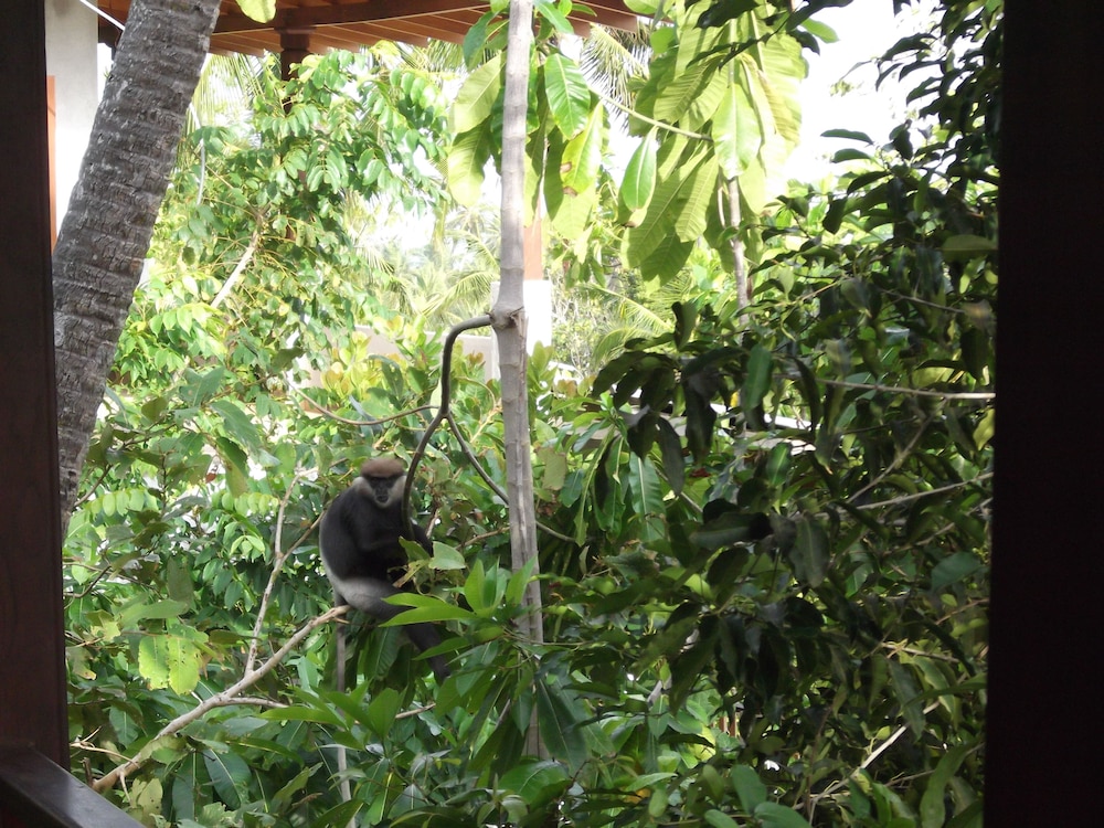 Lanka Eco Village