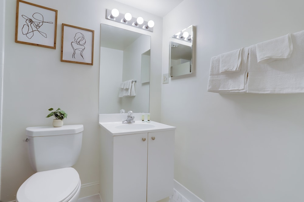 Modern 1BR Stay in Crystal City